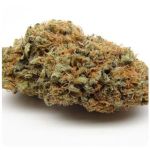 Шишки AK47 (Гидропоника, Бошка) VHQ в Ефремове Шишки AK47 (Гидропоника, Бошка) VHQ в Ефремове